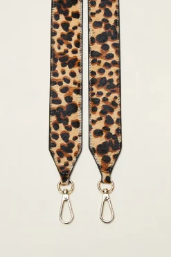 Anses|Balzac Anse Cesar Leopard