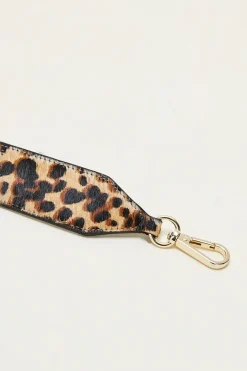 Anses|Balzac Anse Cesar Leopard